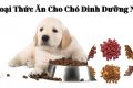 15 Loại Thức Ăn Cho Chó Dinh Dưỡng Nhất