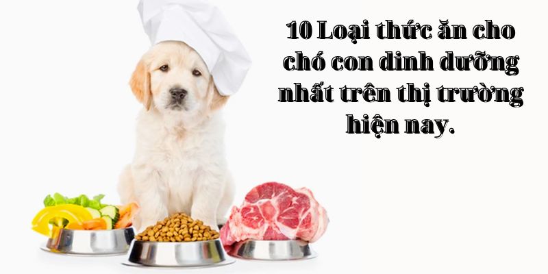 10 Loại thức ăn cho chó con dinh dưỡng nhất trên thị trường hiện nay.