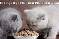 10 Loại Hạt Cho Mèo Phổ Biến Nhất